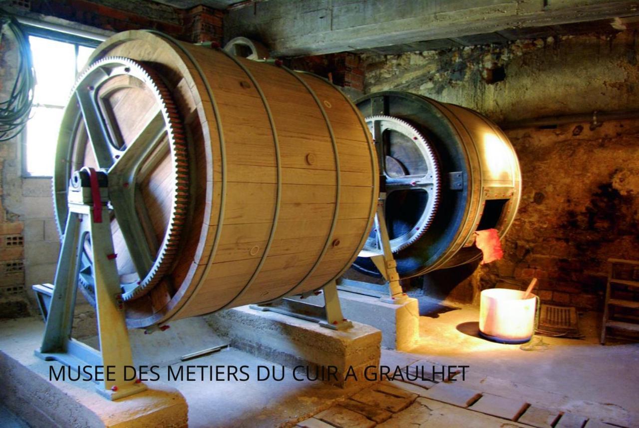 Loft Cosy - Hypercentre - Sauna - 200M2 - Wifi Graulhet المظهر الخارجي الصورة